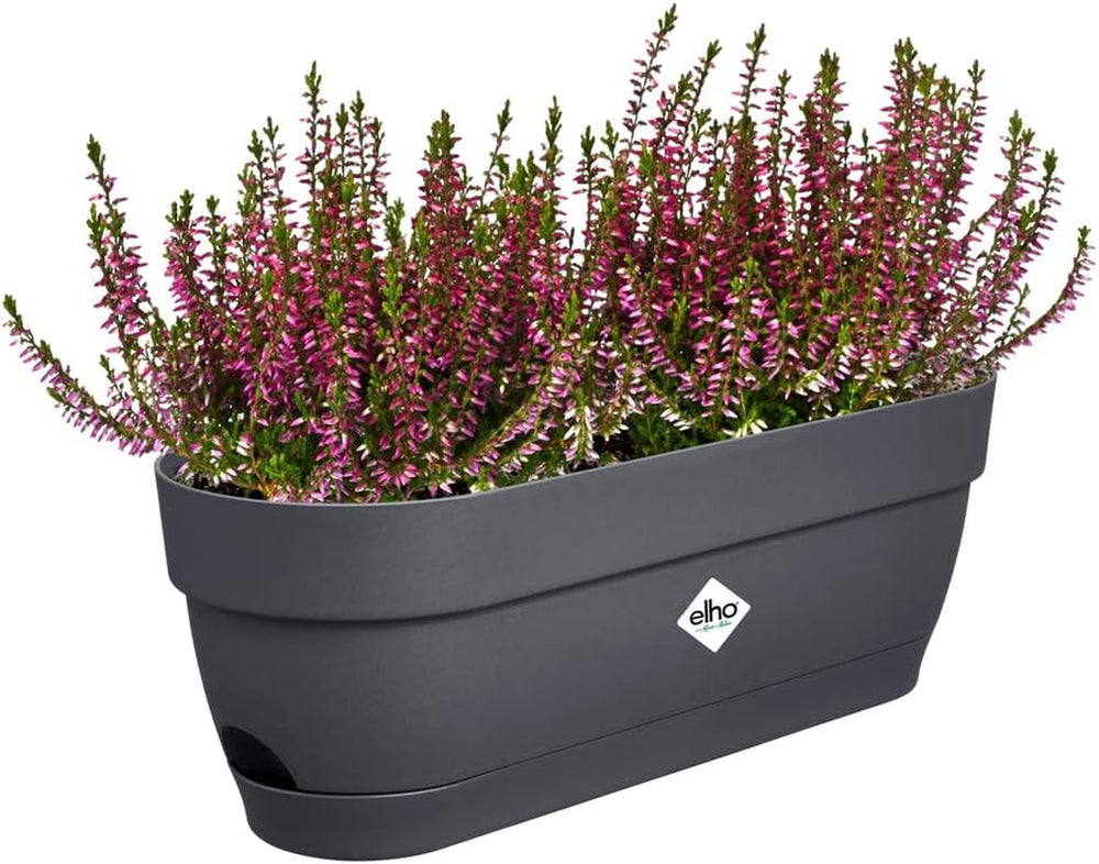 Elho Vibia Campana, ghiveci de balcon cu rezervor de apă, 50 cm, 100% plastic reciclat, Ø 49,0 x H 17,0 cm, negru/antracit