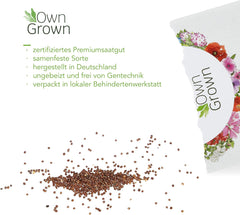 Semena petúnie: Prémiová semena petúnie pro přibližně 400 rostlin petúnie – Krásná semena petúnie pro balkónové a zahradní rostliny – Semena květin – Semena petúnie popínavé – Vlastní vypěstované balkónové květiny