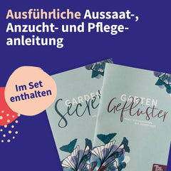 Magic Garden Seeds - Set semen středoevropských léčivých rostlin - 12 tradičních odrůd oblíbených léčivých rostlin - Heirloem Odrůdy - Zahradní doplňky - Semena rostlin - Dárek pro milovníky zahrad