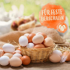 Ida Plus - GoldenEgg 200 ml - redukované Brucheier & Federfressen - podporováno Federwachstum & Federkleid - Wichtige Mineralien & Vitamine für Hühner - Beste Eierqualität bei Ihrer Hühnerhaltung