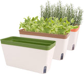 Ghiveci de flori cu auto-udare, set de 3, ghivece dreptunghiulare de 27 cm, ghivece pentru plante aromatice, cutii pentru pervaz cu rezervor de apă, ghivece moderne din plastic pentru interior și exterior, grădină, birou