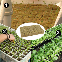 Sadební kostky Rockwool, 56 kusů, 4x4x4cm. Ekologické a dobře provzdušněné pro bezpůdní pěstování sazenic, řízků a klonů.