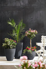 Jardinieră Dehner Vino | Ghiveci, recipient pentru plante | pentru plante în ghiveci | modern, rotund, stabil dimensional, robust | textură cu nervuri | interior, exterior | plastic | antracit | Ø 40 cm, înălțime 60 cm