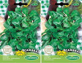 Feldsalat DE CAMBRAI, Mehrfarbig, EC6030 (Packung Mit 2)