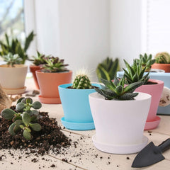 Ghivece mari din plastic de 20 cm cu farfurioare, ghivece cu auto-udare, albe cu farfurioare, ghivece din plastic pentru răsaduri, ghivece îngroșate pentru plantare în interior și în exterior (6 bucăți)