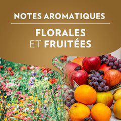 LAVAZZA - Espresso Qualità Oro - Café Grain - Selecție Premium - 100% Arabica - Italiană - Intensitate 5 - 2 pachete a câte 1 kg fiecare