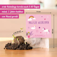 10X Einhorn Samenbomben Als Mitgebsel Kindergeburtstag Mädchen 4 Bis 8 Jahre - Einhorn Geschenke Für Mädchen & Blumensamen Mitbringsel Kindergeburtstag - Kleine Geschenke Für Kinder - Made in Germany