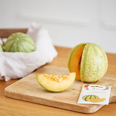 Sada ovocných semínek: Prémiová zahradní semínka s 8 odrůdami ovocných rostlin pro zahradu a balkon - semínka melounu, jahodová semínka, angrešt, rebarbora a další - Dárková sada ovocných semínek od OwnGrown