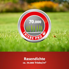 Wolf-Garten Trocken-Rasen PREMIUM L-TP 100 (Für 100 M², Hohe Dichte Mit Ca. 70.000 Trieben/M2, Sehr Gute Hitze- Und Trockenverträglichkeit, Widerstandsfähig Gegen Frost, 3 Kg Faltschachtel) 3824641