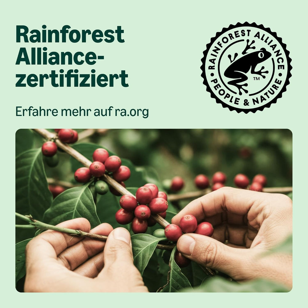 by Amazon Lungo Aluminium-Kaffeekapseln, kompatibel mit Nespresso, mittelgeröstet, 100 Stück (5 Packungen mit je 20 Stück) – Rainforest Alliance zertifiziert