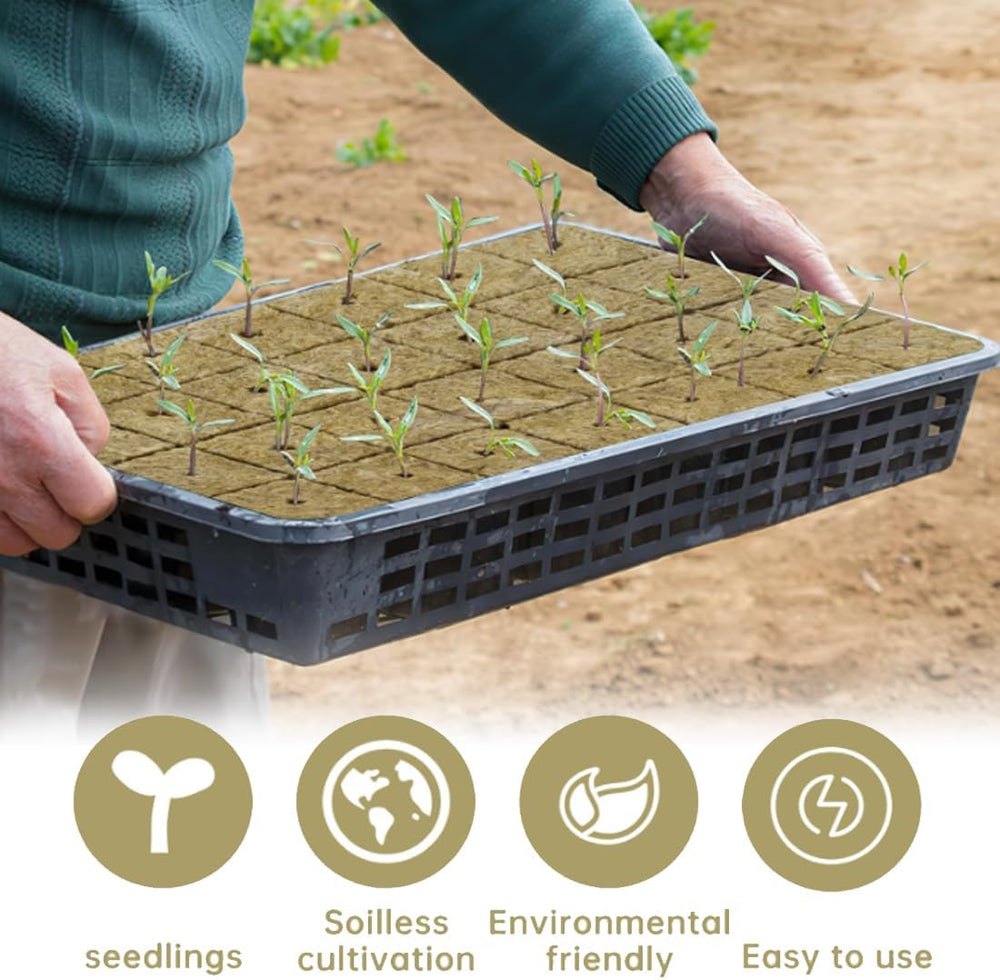 Rockwool Seedling Cubes 28 - Rockwool Cubes 4x4x4cm - Sadbové kostky, Rockwool Kostky, Hydroponické sadební systémy/Klonované rostliny/Školní projekty, Pěstování sazenic bez půdy