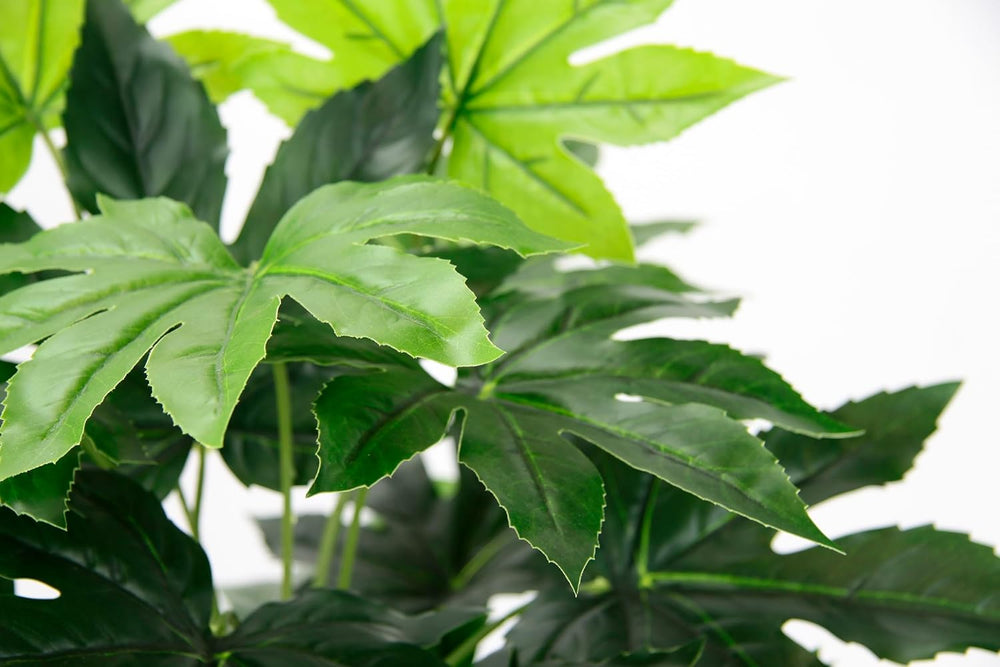 Künstliche Blattpflanze Im Topf Aralie 60 Cm Monstera Seidenblumen Real Touch Grün Kunstpflanzen Pflanzen Aralienpflanze Deko Dekopflanze Grünpflanze Seidenpflanze Zimmerpflanze Kunstblume Büropflanze