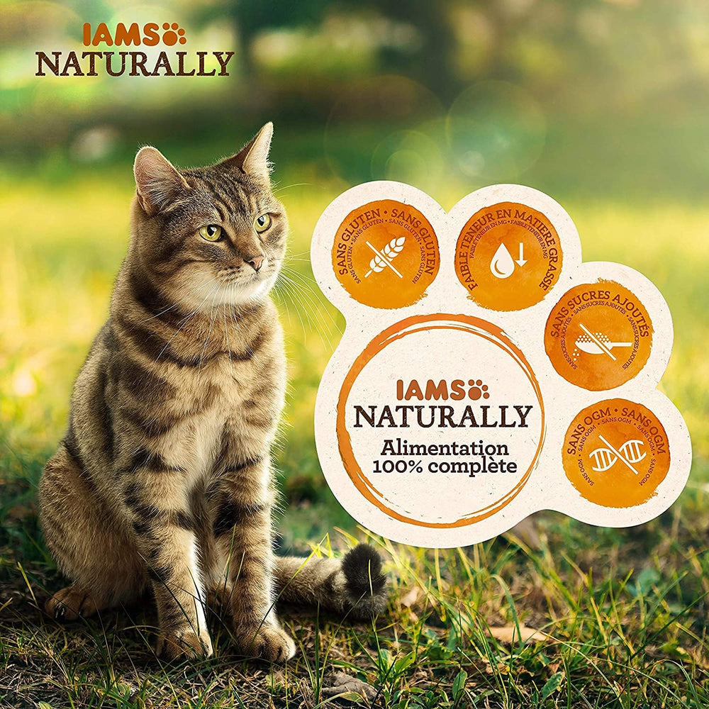 IAMS Hrană umedă naturală pentru pisici în sos - Hrană umedă de înaltă calitate cu pește pentru pisici adulte, Colecția Sea, 12 x 85 g
