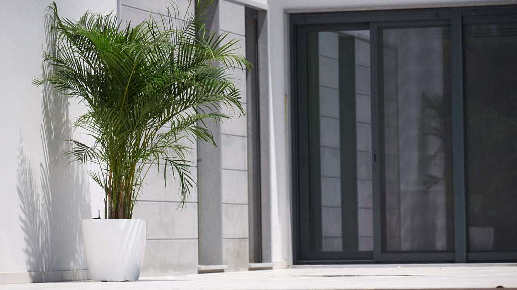 GHIVEC SAN REMO 30CM CU AUTOUDARE ANTRACIT, antracit