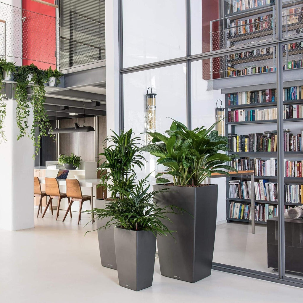 LECHUZA CUBICO Premium 50 alb lucios 18161