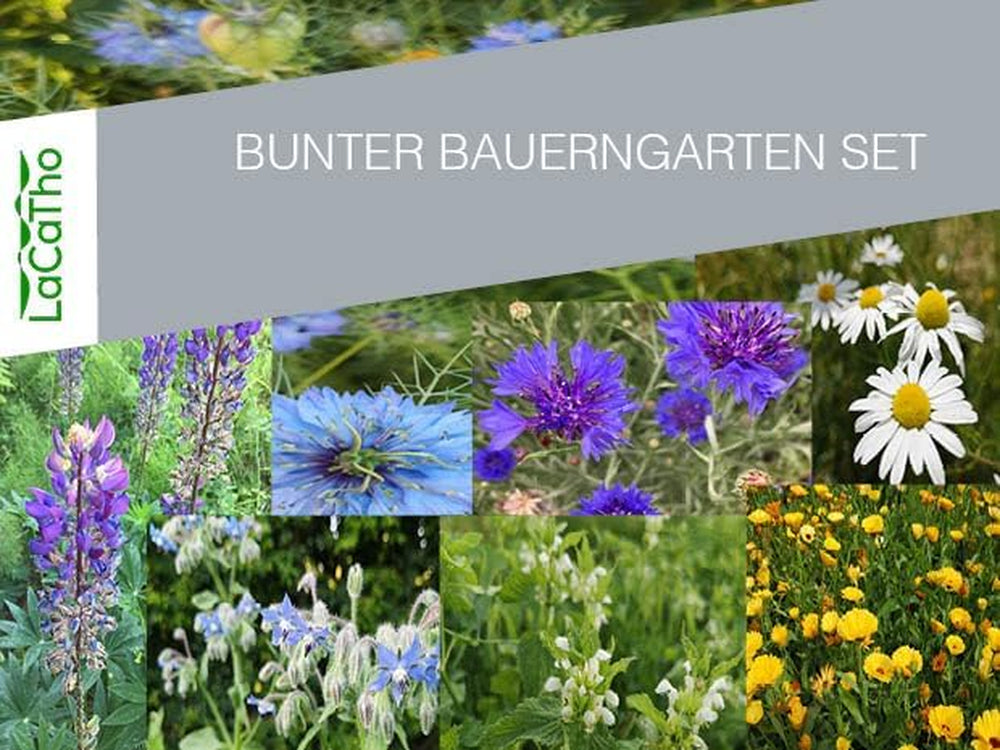 Deutsche Samen – Bunter Bauerngarten Set – 7 Verschiedene Pflanzen – Insektenfreundlicher Garten - Pflegeleichte Mehrjährige Pflanzen – Abwechslungsreiche Farbenprächtige Blumen