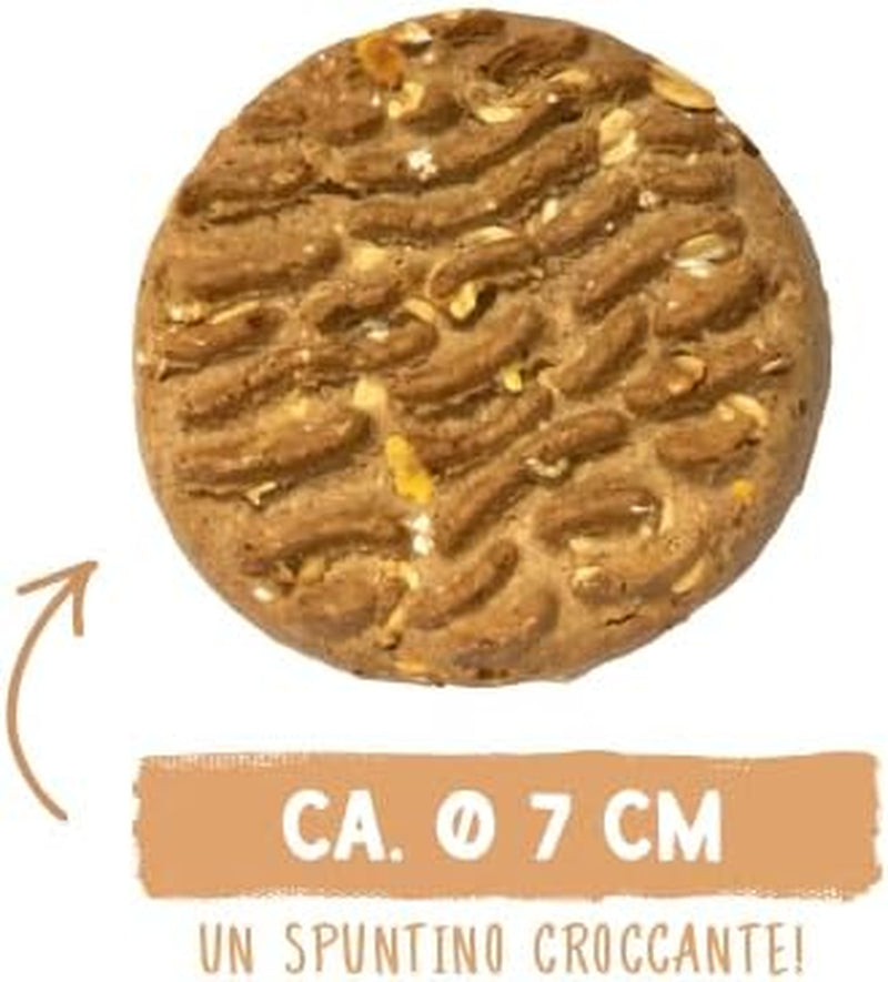 Sammyho müsli mince | Křupavé pečené svačiny pro psy | 5 obilných müsli mincí pro vašeho velkého chlupatého přítele (30 kg+) | 1 kg