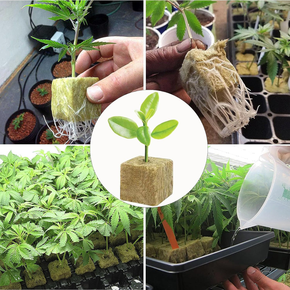 50 ks podložka na pěstování z minerální vlny, kostka z minerální vlny, izolace z minerální vlny, podložka na pěstování z minerální vlny s nůžkami a rukavicemi pro pěstování bez půdy, hydroponii a přesazování