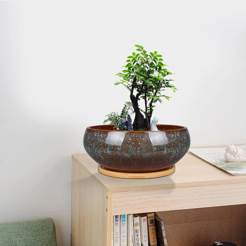 Ghiveci ceramic pentru bonsai, glazurat, puțin adânc, pentru plante suculente, cu orificiu de drenaj și farfurie din bambus pentru plante de apartament, 20,3 cm, maro
