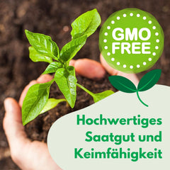 Cosmos Sensation Mix 1g semínek, Cosmos Mix Letní květiny, Zahradní rostliny Balkonové rostliny, Květinová semena