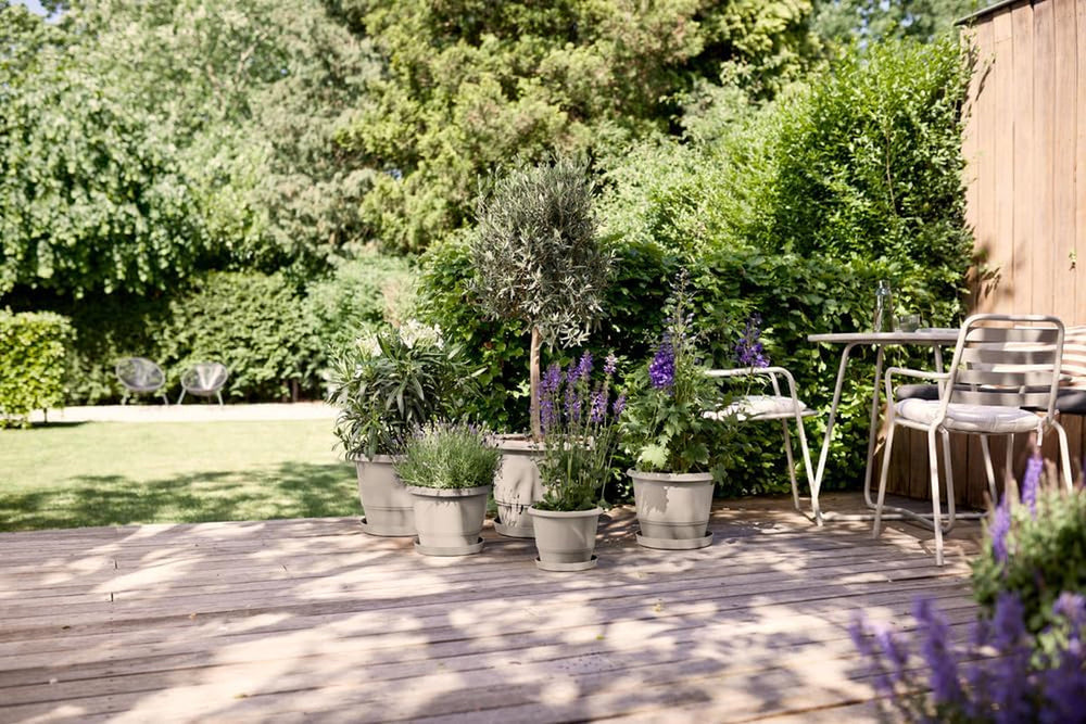 elho Amiga Round 30 - Ghiveci pentru flori pentru interior și exterior - 100% plastic reciclat - Ø 29,5 x H 20,2 cm - Bej/Bej Ciupercă