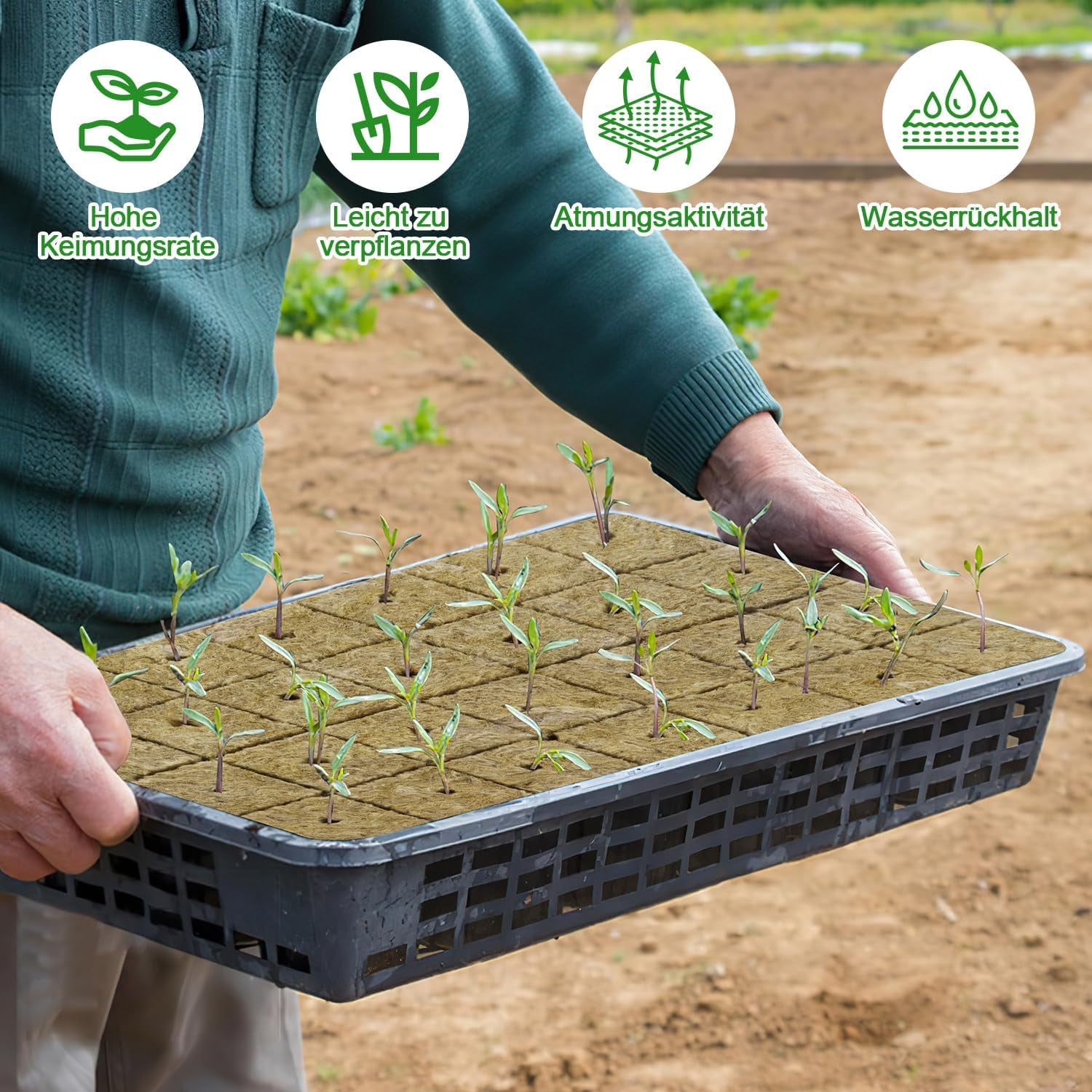 Sadební kostky Rockwool, 56 kusů, 4x4x4cm. Ekologické a dobře provzdušněné pro bezpůdní pěstování sazenic, řízků a klonů.