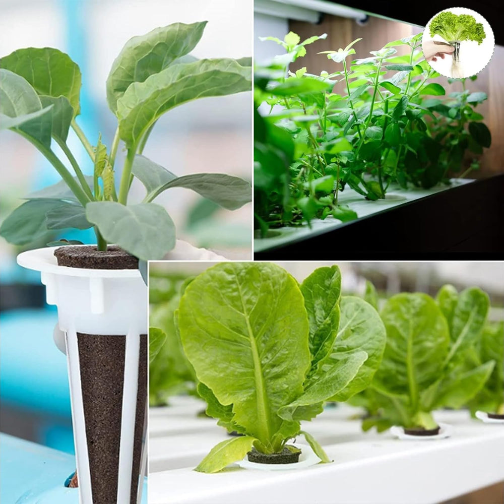 50 náhradních pěstebních houbiček, trubek pro zakládání semen, hmoždinek pro pěstování kořenů, sad pro hydroponické pěstování pro systémy hydroponického pěstování, vnitřní hydroponie, zahrada