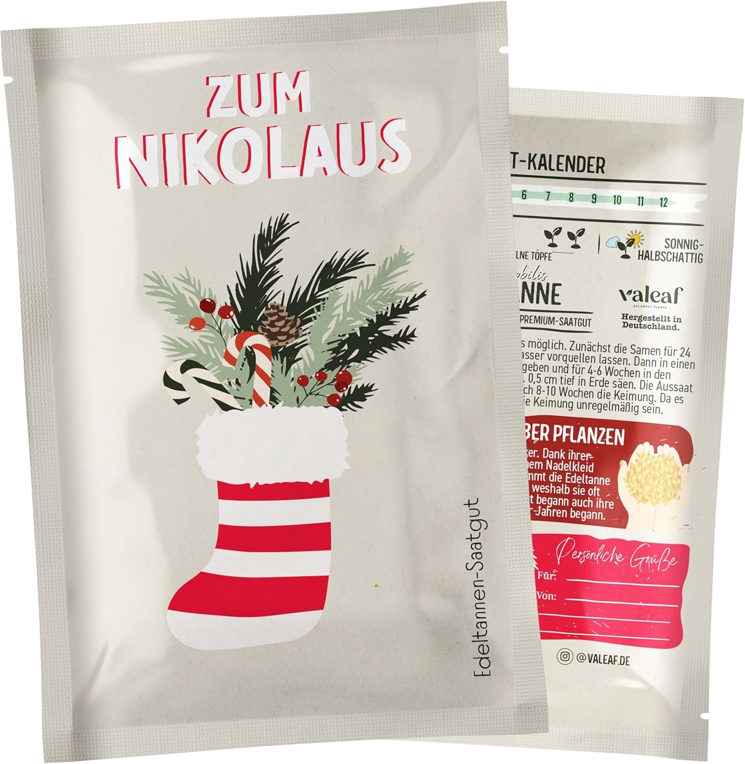 Vánoční strom 2030 - Nordmann semena vánočního stromku pro zasazení vánočního stromku, ideální jako vánoční dárek Secret Santa