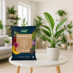 Westland Clay Granule, 5 L - Granule pro rostliny ideální pro hydroponii, drenážní substrát bez chemických přísad, pro vnitřní i venkovní použití