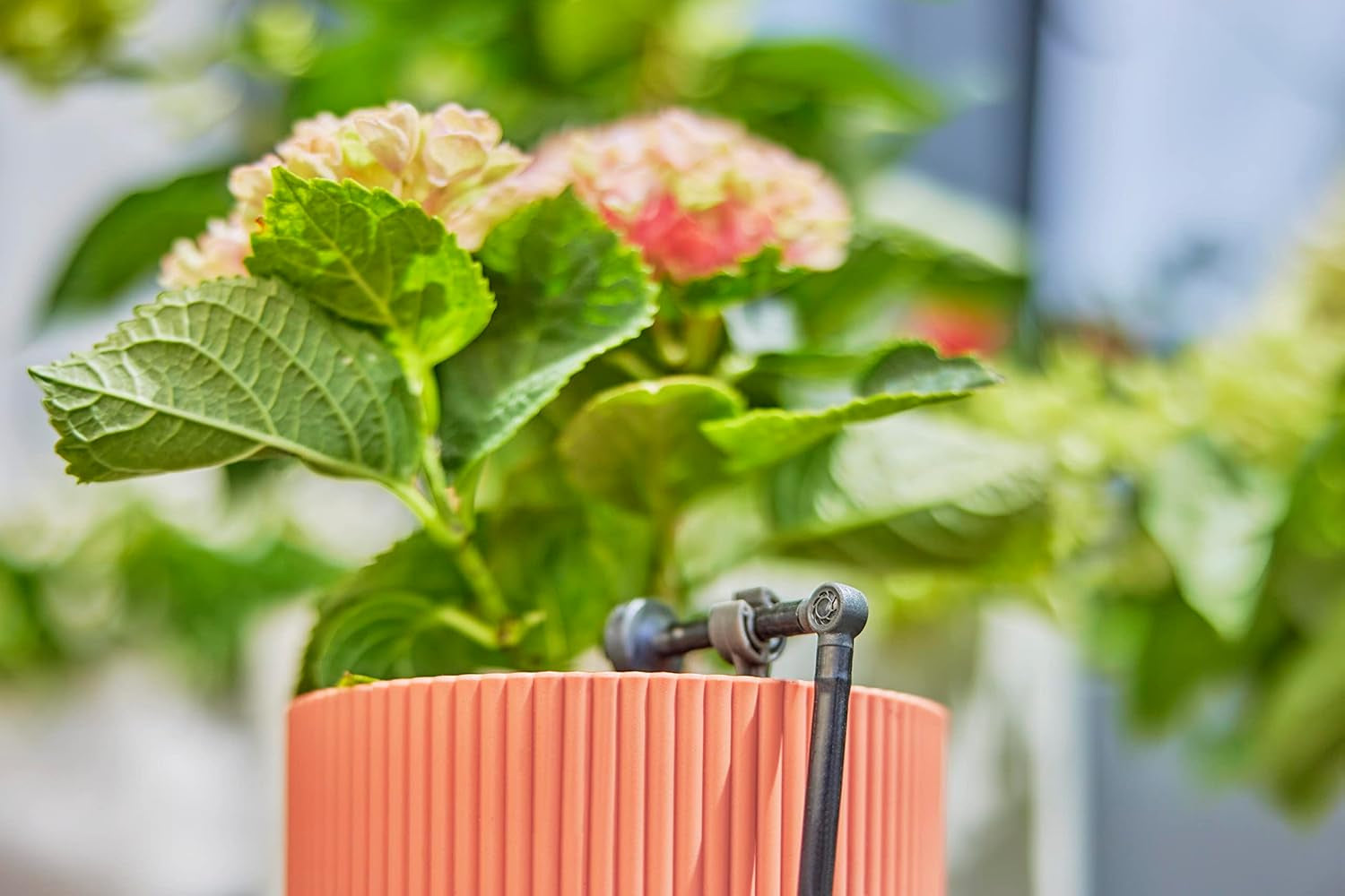 Piesă în L pentru sistemul de picurare Gardena Micro-Drip 4,6 mm (3/16 inch): Pentru schimbarea direcției de distribuție și a liniilor de picurare cu 90 de grade, instalare fără îndoiri, tehnologie de conectare ușoară și flexibilă (13212-20)