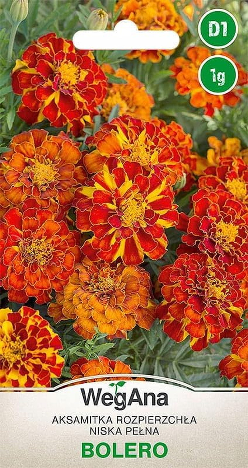 Cosmos Sensation Mix 1g semínek, Cosmos Mix Letní květiny, Zahradní rostliny Balkonové rostliny, Květinová semena