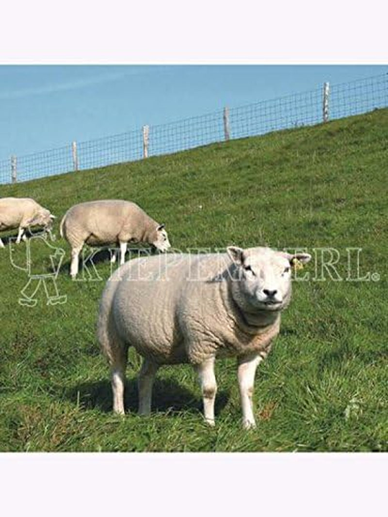 Deichbegrünung Böschungsmischung DSV 900 10Kg