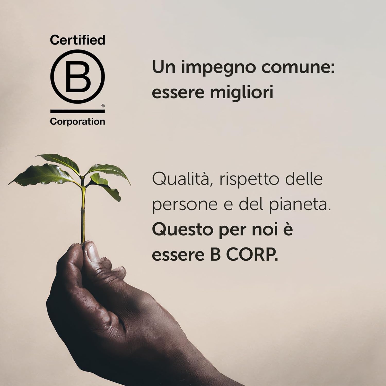 Boabe de cafea Illy Arabica Selection Brazil, 250 g