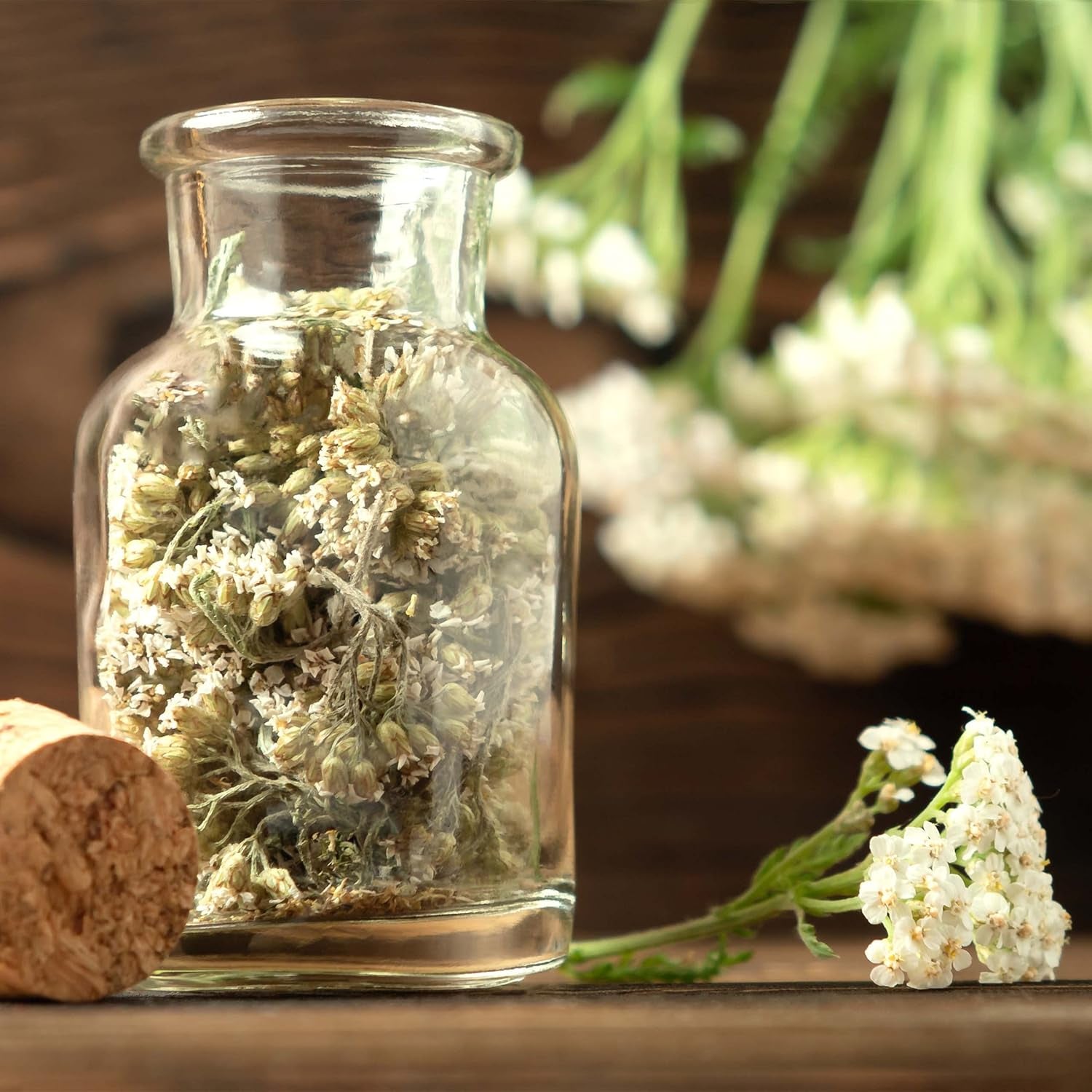 Sada čajových semínek: 8 druhů semínek na balkón a zahradu - máta, heřmánek, anýz, kopřiva, sléz - semena rostlin - čaj - krabička na čaj - Vlastní vypěstované rostliny