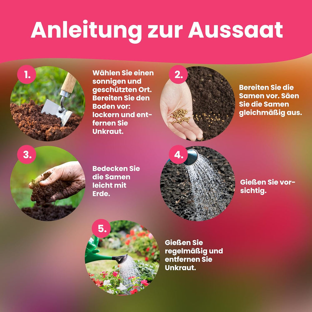 LERAVA květinová semena (12 odrůd) - zimní mrazuvzdorné trvalky - zahradní a balkónová semena - rychlé klíčení pro snadné setí - nenáročná na údržbu květinová směs pro nepřetržité kvetení