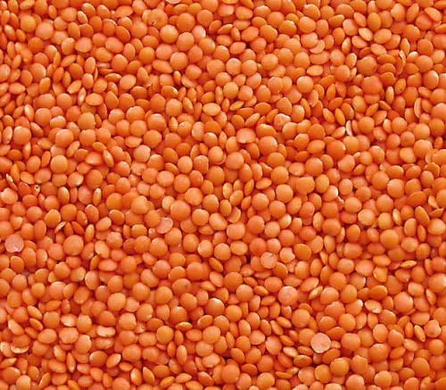Seba Garden Red Lentils 1kg - prémiová celá čočka z Kanady - Massor Dal, bez GMO, s vysokým obsahem bílkovin, s vysokým obsahem vlákniny - vše přírodní, veganské, bez lepku, ideální do polévek a kari