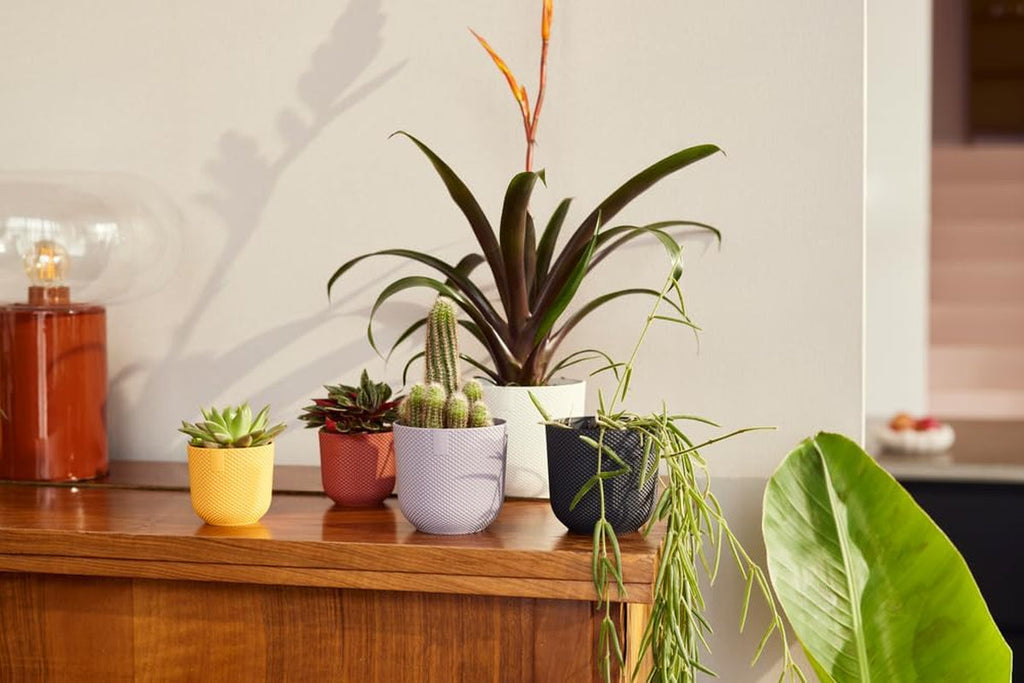 elho Jazz Round Mini 7cm - Ghiveci de flori de interior - Plastic 100% reciclat - Ø 7 x H 6,5 cm - Galben/Chihlimbar