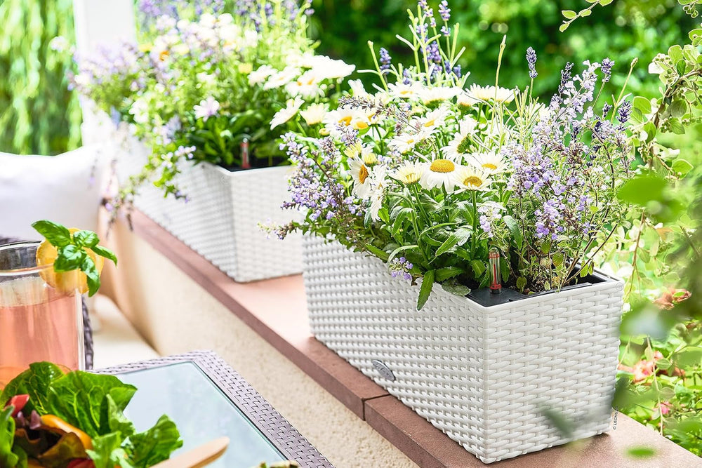 LECHUZA BALCONERA Cabană 50 alb 15600