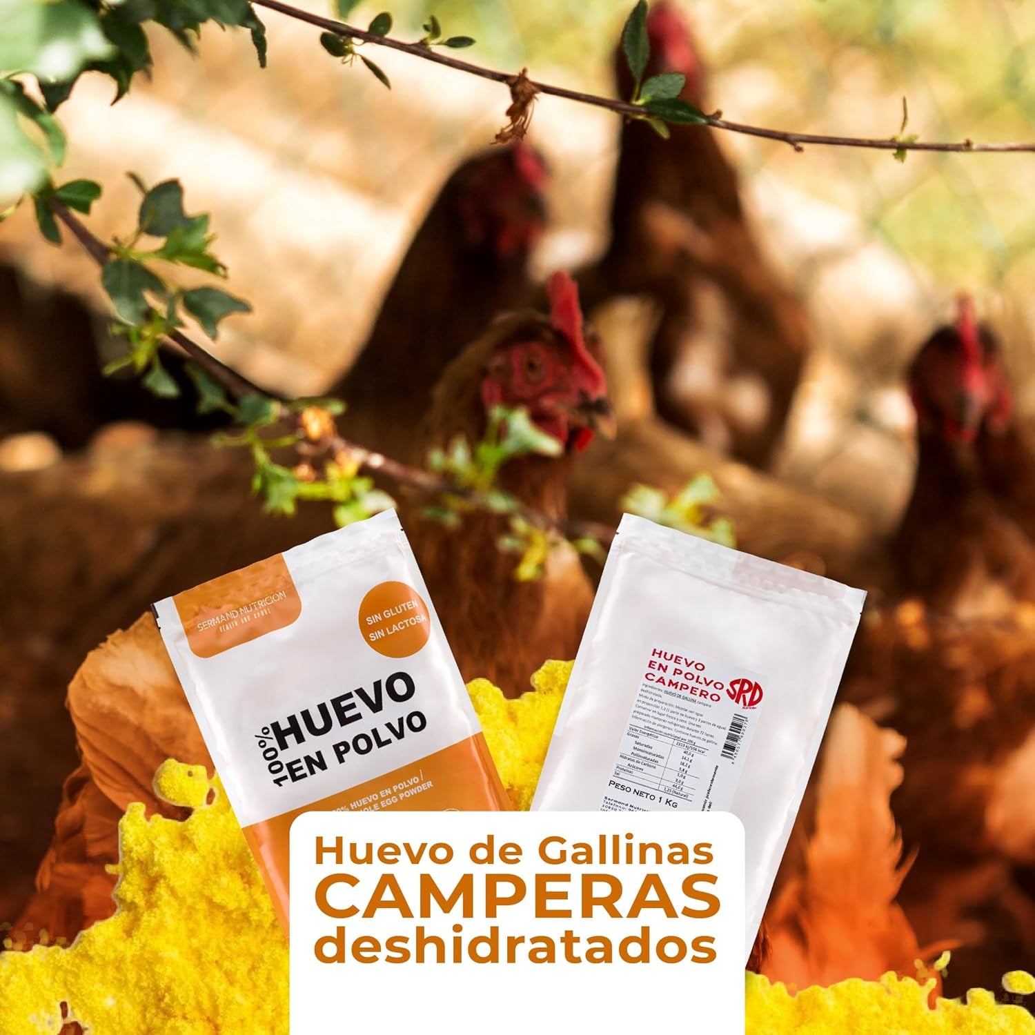 Eipulver aus Freilandeiern (1kg) | Pasteurisiertes Vollei Pulver | Ohne Zusatztoffe | Bez lepku a bez laktózy | Vakuumverpackung im Zip-Beutel