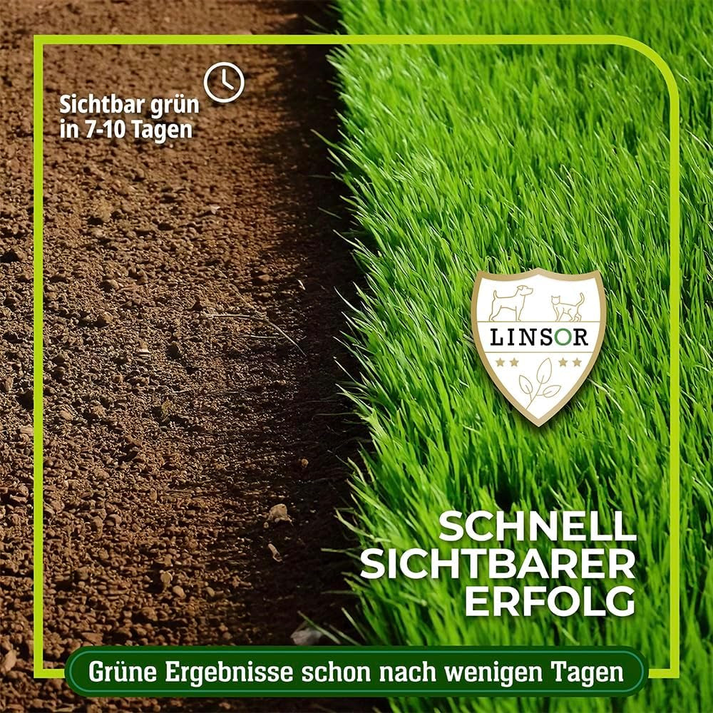 Rasensamen Schnellkeimend – Zauberrasen 4 Kg Für 200 M² Schnell Wachsender Rasen Mit Schneller Begrünung Pflegeleicht Für Dichten Gleichmäßigen Rasen
