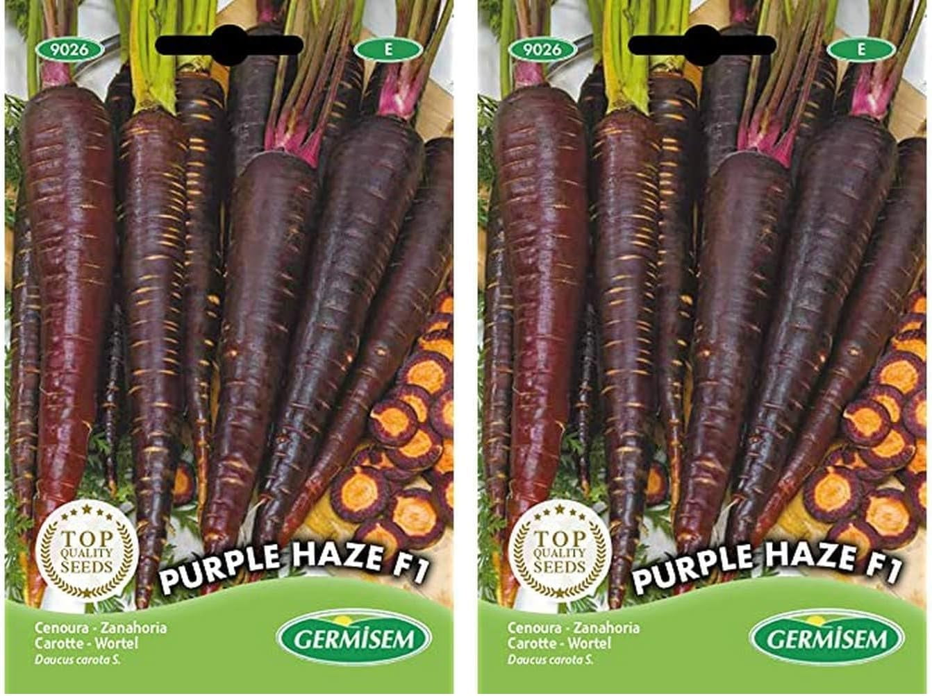 Möhren Purple Haze F1 (Packung Mit 2)