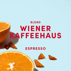 Espresso Bohnen - Wiener Kaffeehausmischung Espresso Blend - milde Röstung mit 100 % Arabica aus 7 Herkunftsländern - frisch in Berlin geröstet - 1k g
