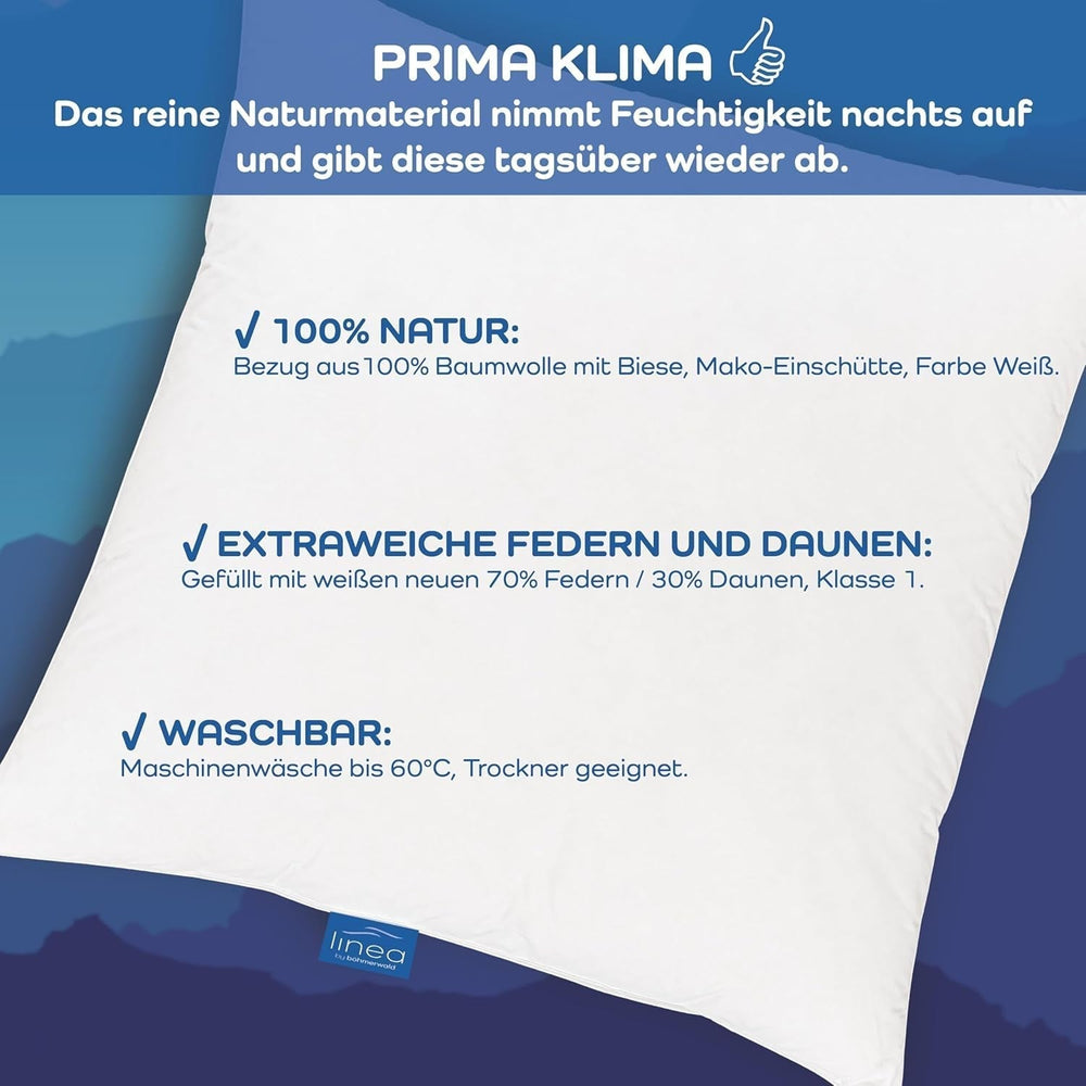 LINEA by Böhmerwald - Cosy - Pernă de înaltă calitate Balance, 80X80, 70% pene clasa 1, 30% puf nou, potrivit pentru alergici, lavabil până la 60°C, produs în Germania Perne standard Naty Shop