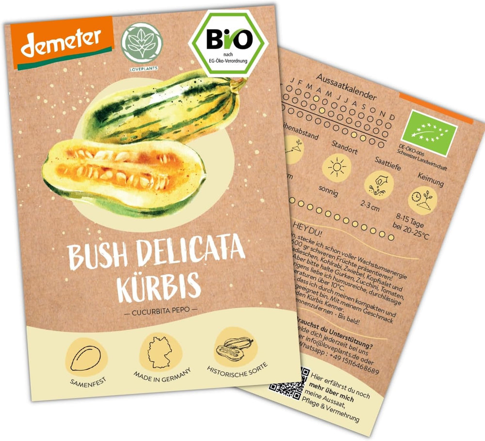 Bio mini semena mexické okurky, 10 svačinových semen okurky, vysoká klíčivost, certifikace Demeter a otevřená opylování | LOVEPLANTS Semena zeleniny na balkónové zahradě - dědičné odrůdy zeleniny