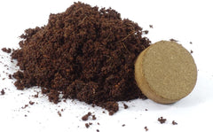 SAFLAX - Heilpflanzen - Beinwell - 15 Samen - Mit Keimfreiem Anzuchtsubstrat - Symphytum Officinale