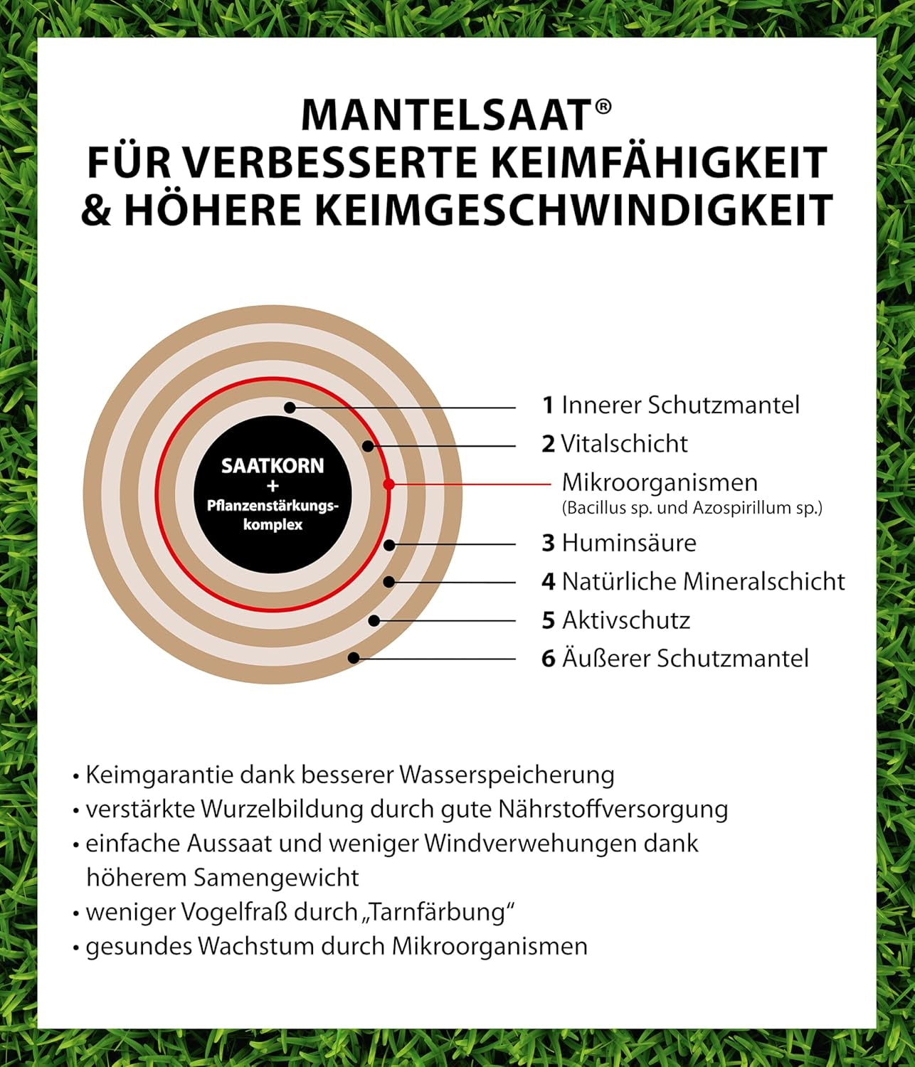 Dehner Saatgut Rasen-Nachsaat, Hochwertige Rasensamen Zur Regeneration Geschädigter Rasenflächen, Schnell Keimend/Pflegeleicht, Mit Mantelsaat Für Optimalen Bodenkontakt, 1 Kg Für Ca. 50 M²