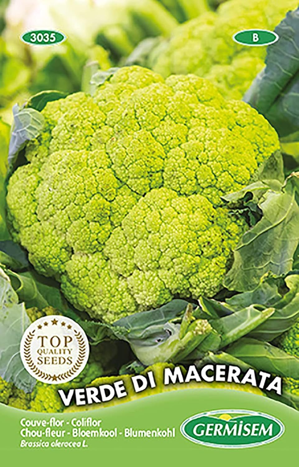 Blumenkohl VERDE DI MACERATA