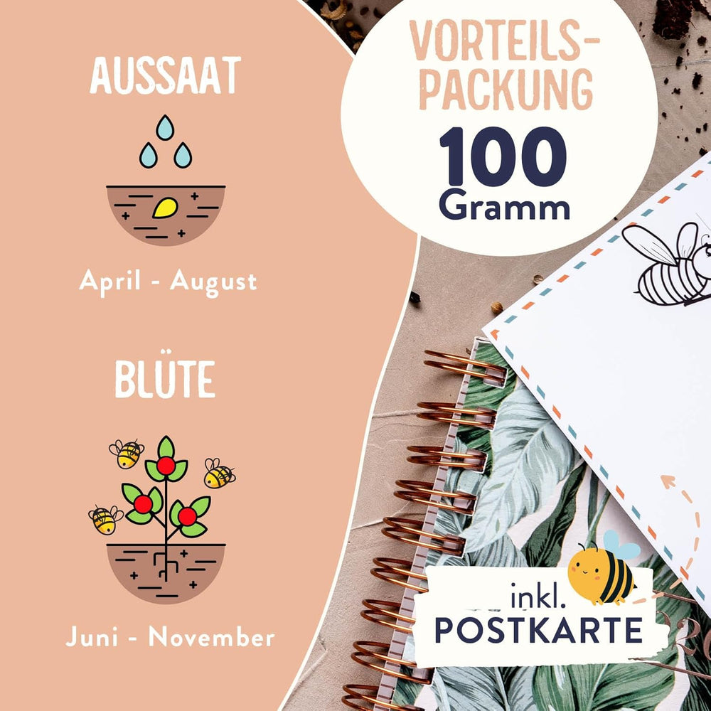 Blumensamen I 100G I 100M² Samen Mehrjährig Und Einjährig I Samen Für Bienen Blumenmischung I Wildblumensamen Für Balkonblumen Und Wildblumen I Bunte Bienenweide