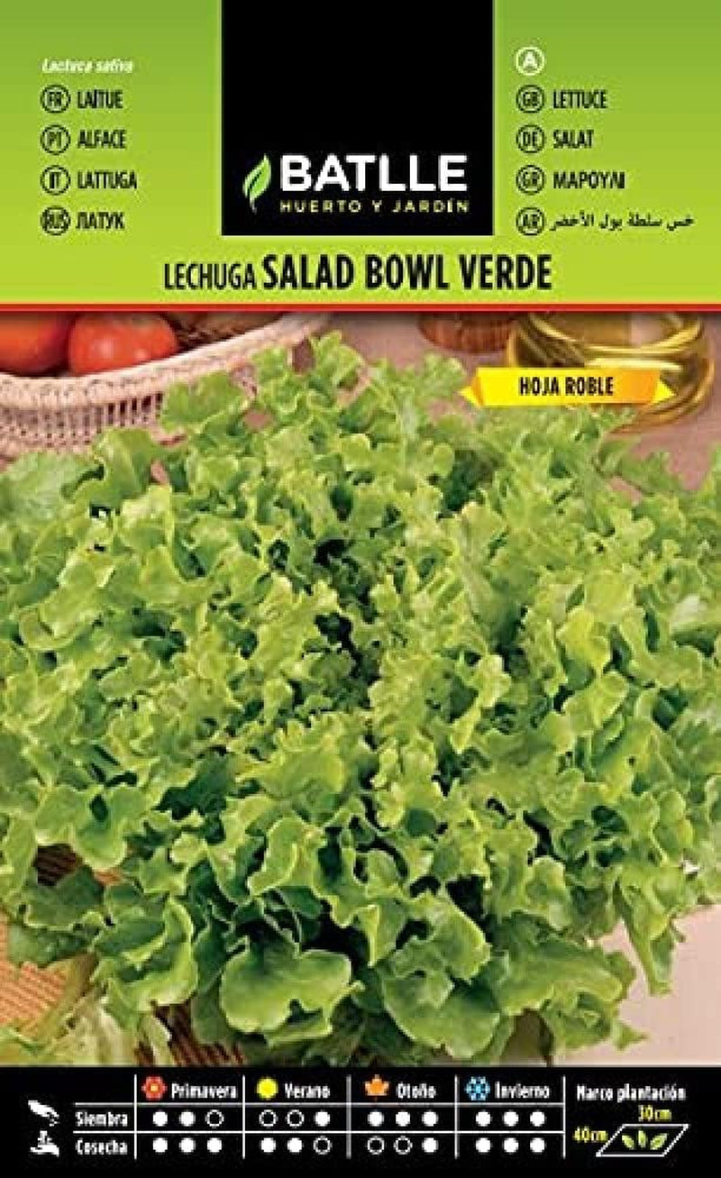 Batlle Gemüsesamen - Frühlings Kopfsalat Dorada De Primavera (6400 Samen)