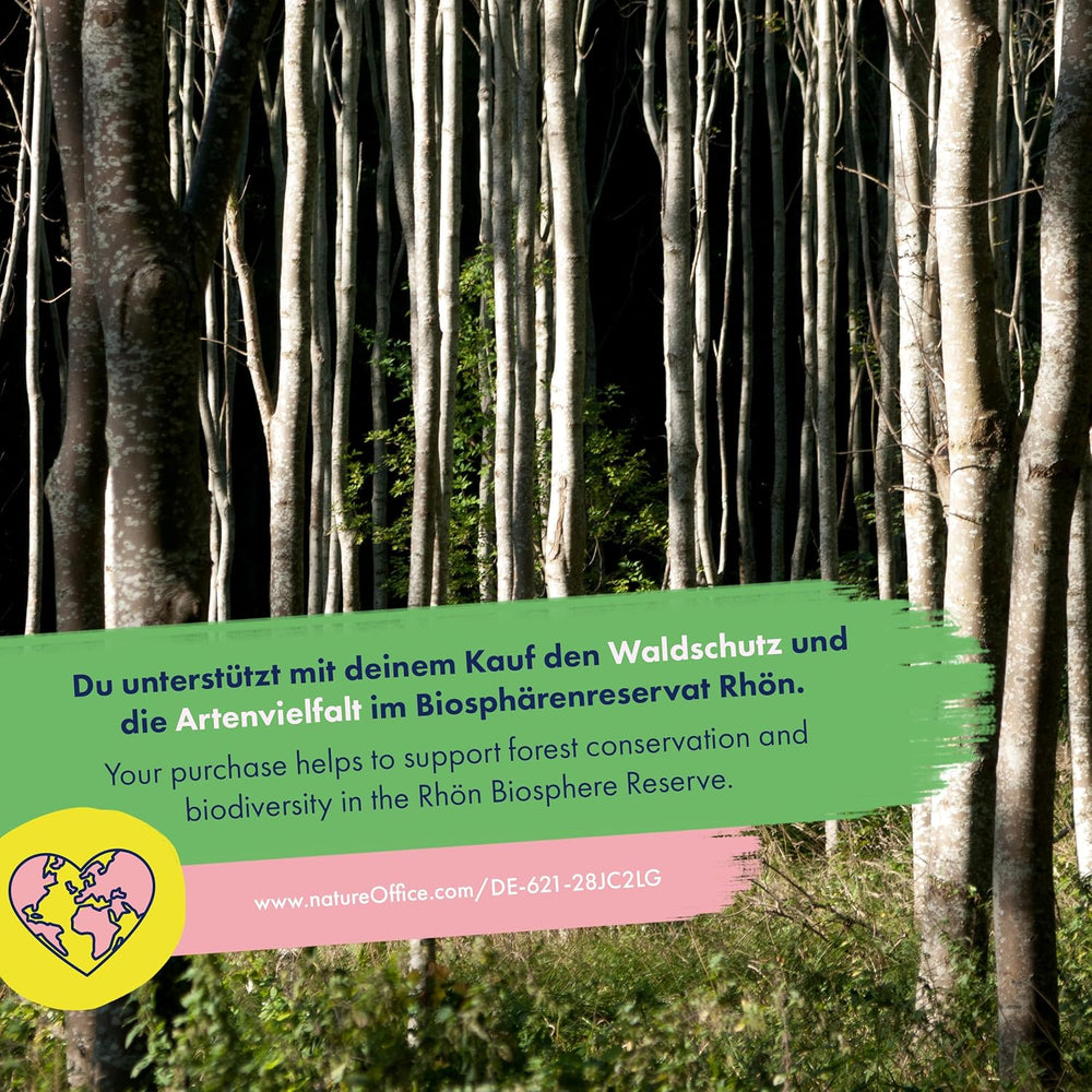 Kvetoucí duha – 6 směsí opylovaných květin zdarma – velkolepé a barevné – sada semínek pro začátečníky, jako malý dárek nebo pro osobní použití